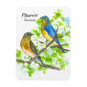 Missouri Souvenir Bluebirds Hawthorn Tree Magnet