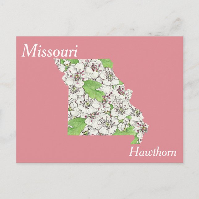 Missouri State Flower Collage Map Postcard (Front)