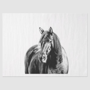 Missouri Wild Horse Tissue Paper