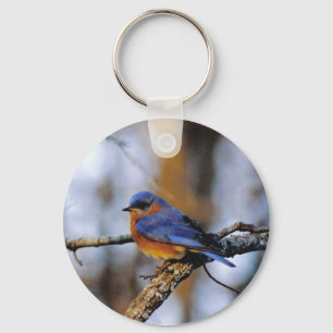 Missouris Bird key chain