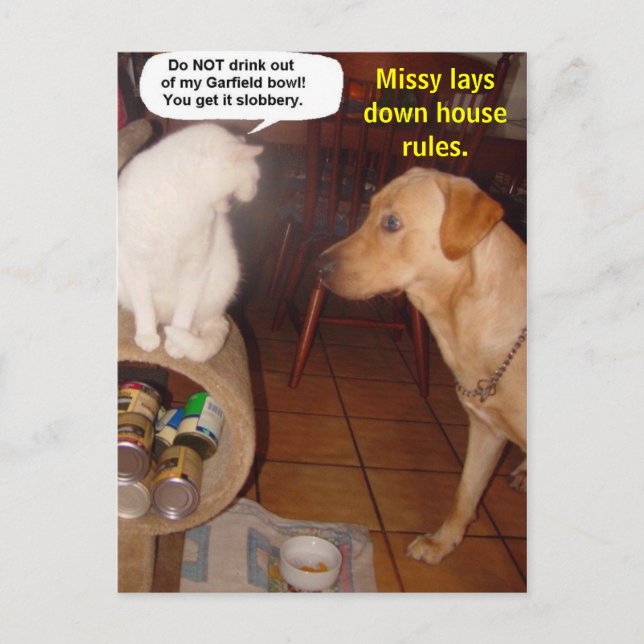 Missy lays down house rules. postcard (Front)