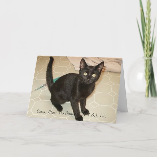 Missy Notecards (Front)