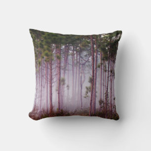 Mist among pine trees at sunrise, Everglades Cushion
