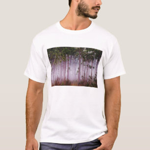 Mist among pine trees at sunrise, Everglades T-Shirt