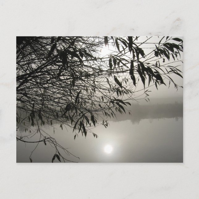 Mist and Shadow Postcard (Front)
