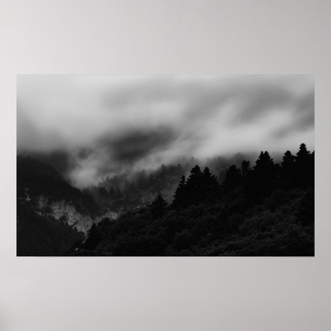 Mist over the forest poster (Front)