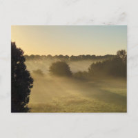 Mist