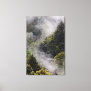 Mist rising from mountainside after spring rain, canvas print