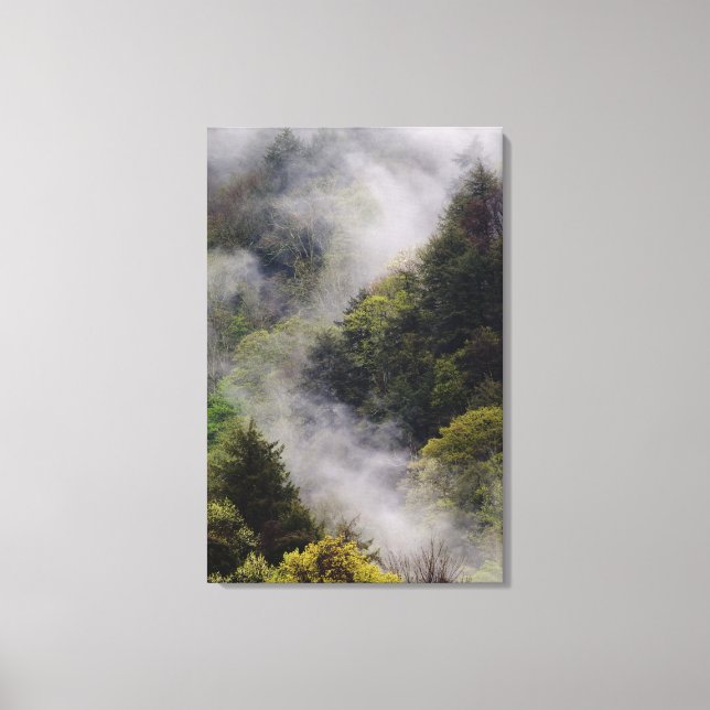 Mist rising from mountainside after spring rain, canvas print (Front)