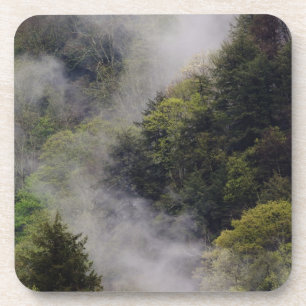 Mist rising from mountainside after spring rain, coaster