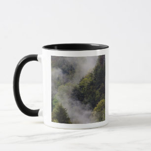 Mist rising from mountainside after spring rain, mug