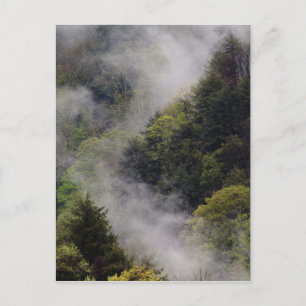 Mist rising from mountainside after spring rain, postcard