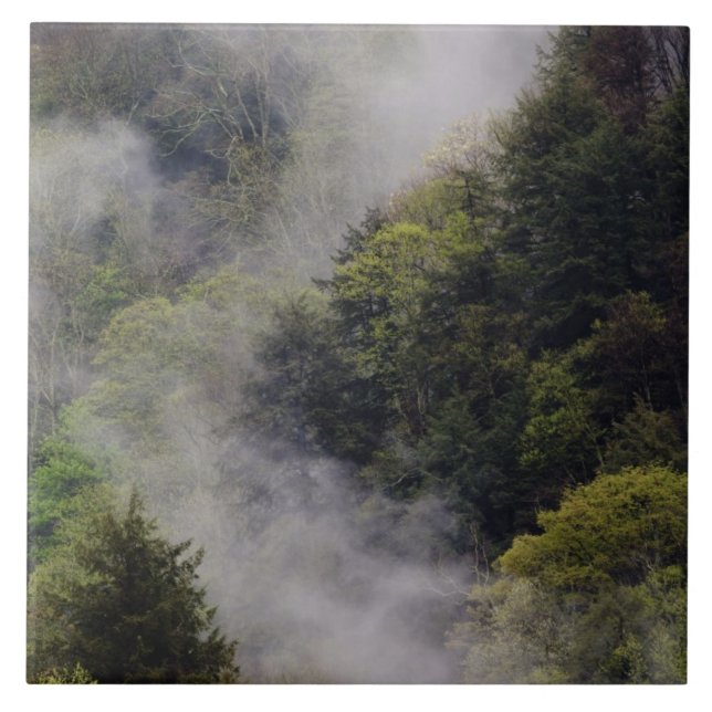 Mist rising from mountainside after spring rain, tile (Front)