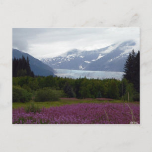 Misted Mendenhall Postcard