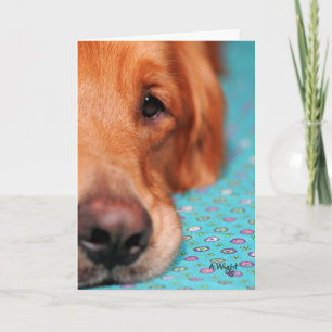 Mister Farley, the Golden Retriever Card