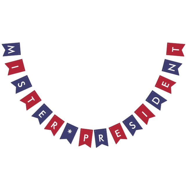 Mister President USA Typography Mr. American Flag (All)