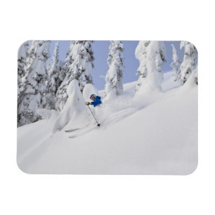 Mistie Fortin skis powder Magnet