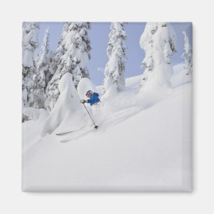 Mistie Fortin skis powder Magnet