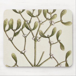 Mistletoe from 'A Curious Herbal', 1782 Mouse Pad