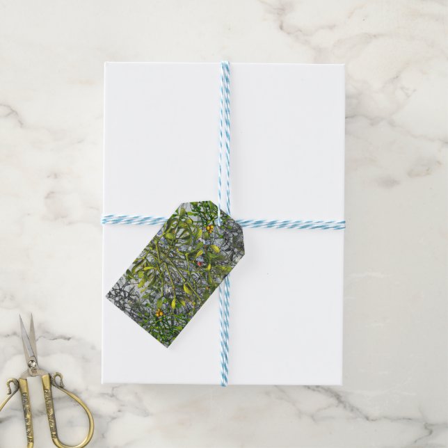 Mistletoe Gift Tags (With Twine)