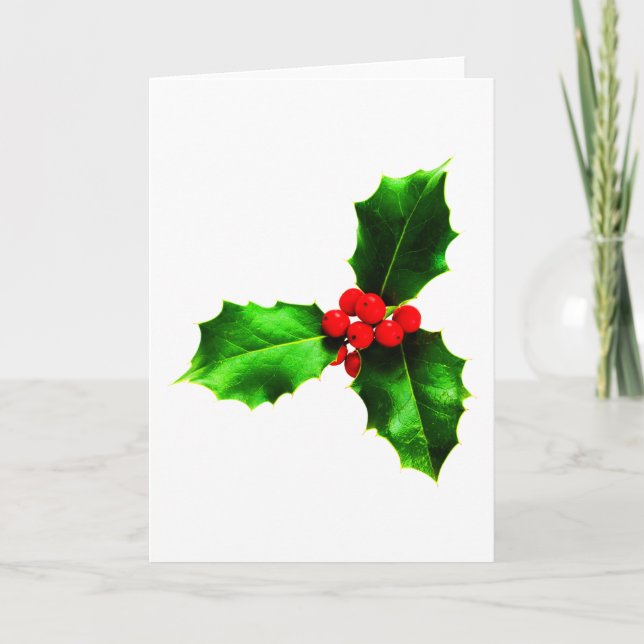 Mistletoe Holiday Card (Front)