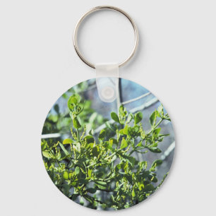Mistletoe Key Ring