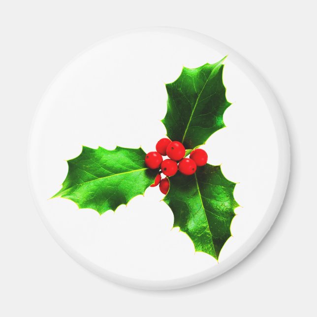 Mistletoe Magnet (Front)
