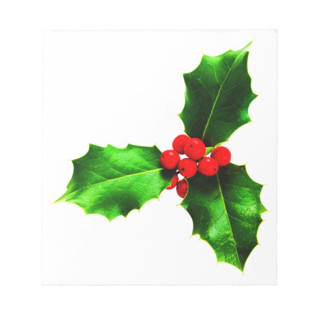 Mistletoe Notepad (Front)
