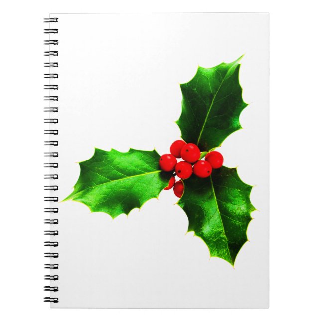 Mistletoe Spiral Notebook (Front)
