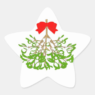Mistletoe Star Sticker