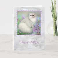 Mistletoe the Silver Persian Cat Birthday Card
