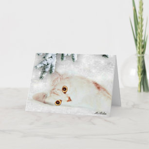 Mistletoe the Silver Persian Cat Christmas Card