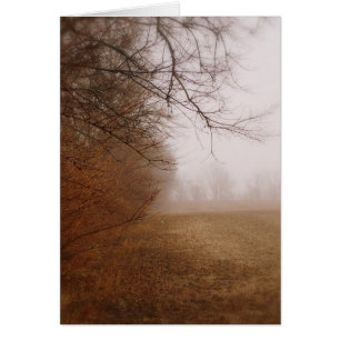misty