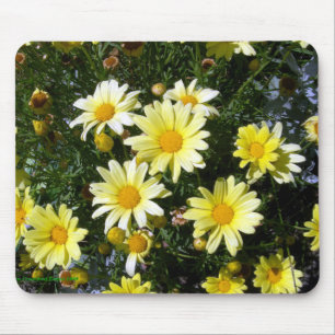 Misty (Agryranthemum) Mouse Pad