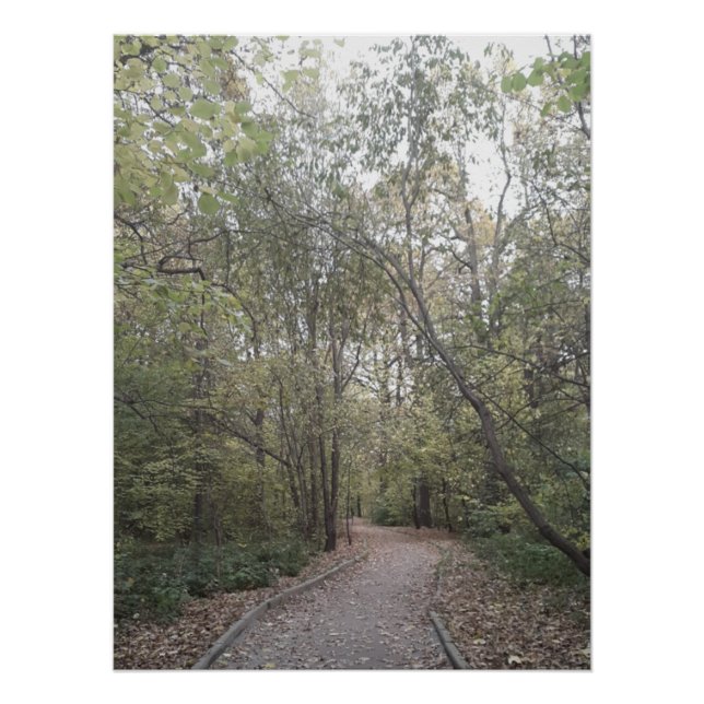 Misty Autumn Forest Path Poster (Front)