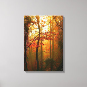 Misty Autumn Morning Canvas Print