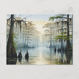 Misty Congaree National Park South Carolina Postcard