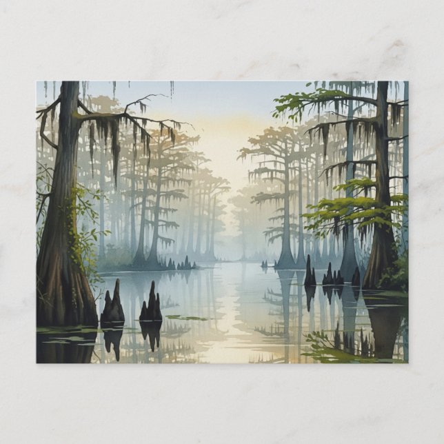 Misty Congaree National Park South Carolina Postcard (Front)