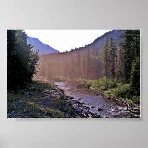 Misty Creek Sunrise Glacier-Waterton Parks Poster