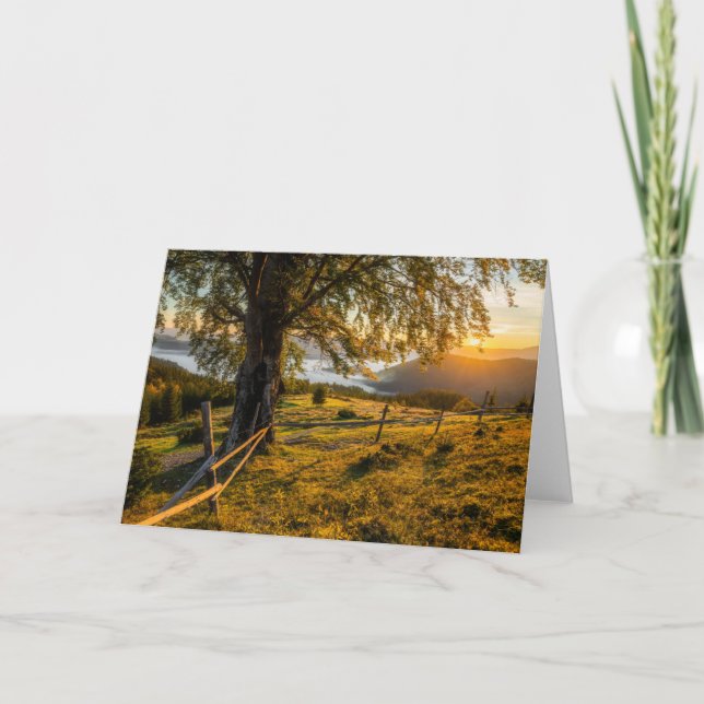 Misty Dawn in a Forest Card (Front)