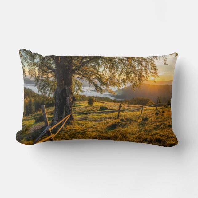 Misty Dawn in a Forest Lumbar Cushion (Front)