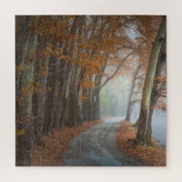 Misty Fall Trees Country Road Travel Adventure