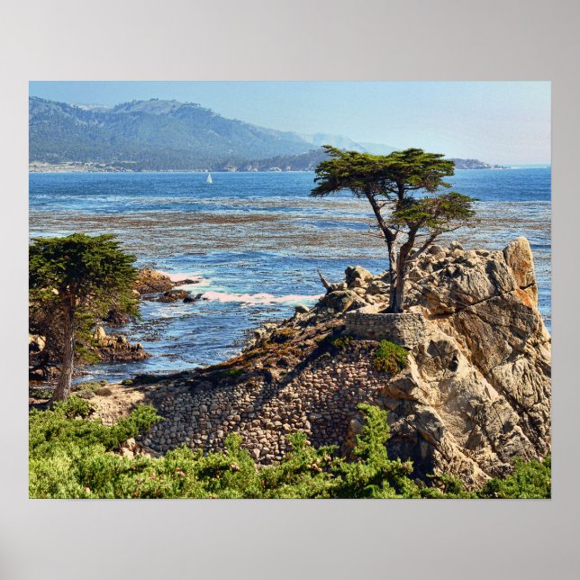 Misty Fog Scenic California Central Coast Poster (Front)