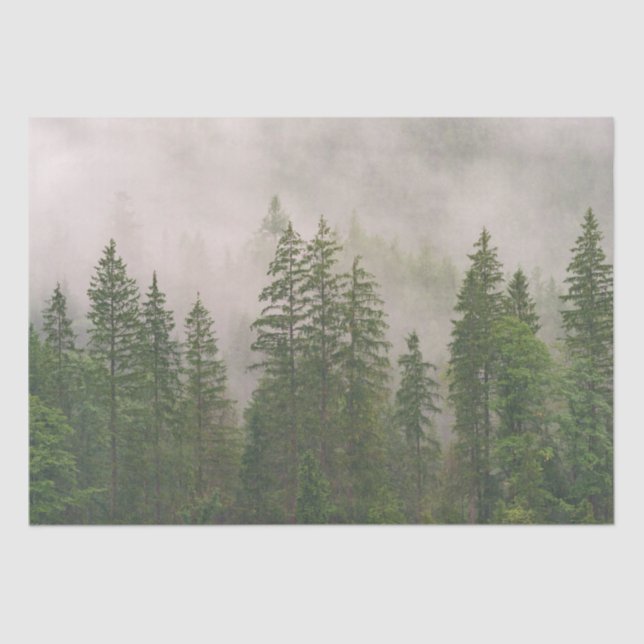 Misty Foggy Forest Trees Tissue Paper (Front)