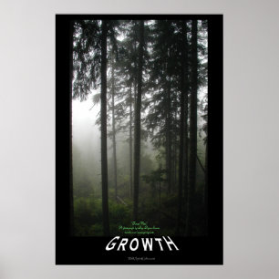 Misty Forest "Growth" Motivational Photo Poster