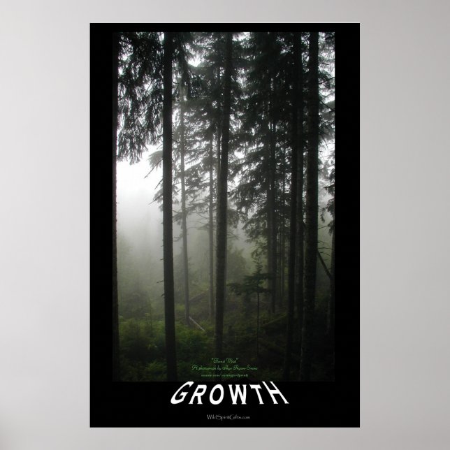 Misty Forest "Growth" Motivational Photo Poster (Front)