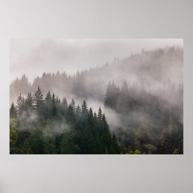 Misty Forest in the Mountains Poster (Front)