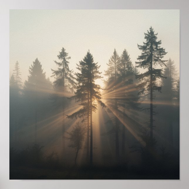 Misty Forest Morning Landscape Poster (Front)