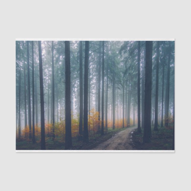 Misty Forest Path Decoupage Tissue Paper (Front)