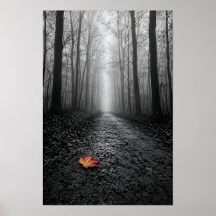 Misty Forest Path Selective Colour Poster